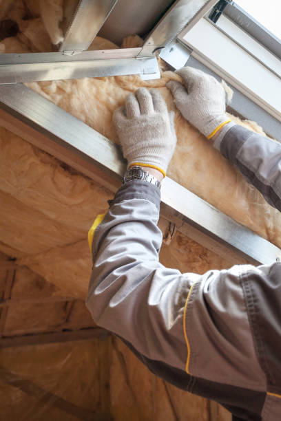 Professional Insulation Contractor in Breckenridge Hills, MO