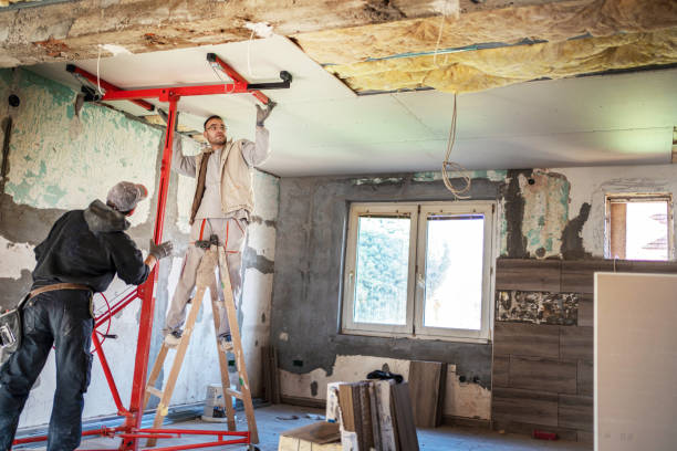 Best Residential Insulation Services  in Breckenridge Hills, MO