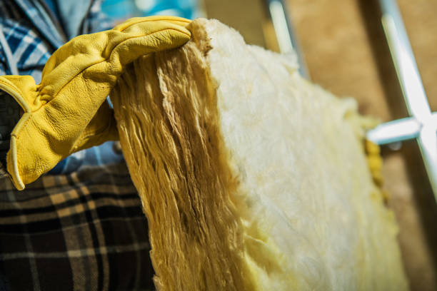 Best Residential Insulation Services  in Breckenridge Hills, MO