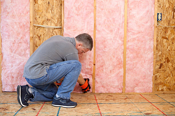 Insulation Inspection Services in Breckenridge Hills, MO