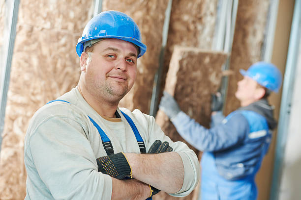 Best Cellulose Insulation  in Breckenridge Hills, MO