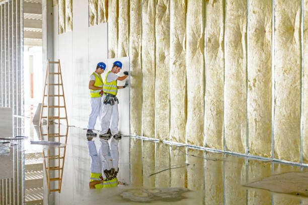 Best Home Insulation Services  in Breckenridge Hills, MO